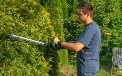 Vanliga misstag vid häckklippning och hur du undviker dem