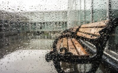 20 roliga saker att göra när det är dåligt väder